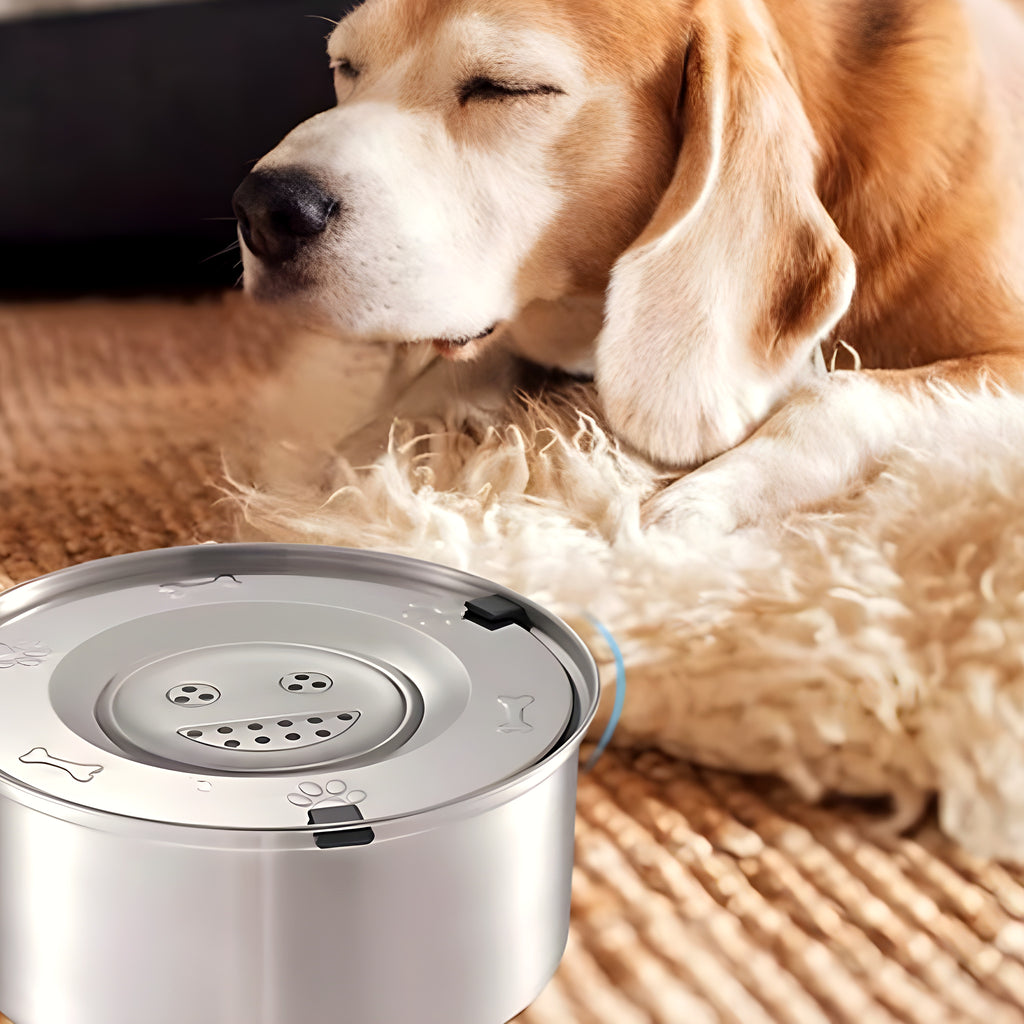 Gamelle d'eau anti-éclaboussures en inox pour chien, 1 ou 3 L