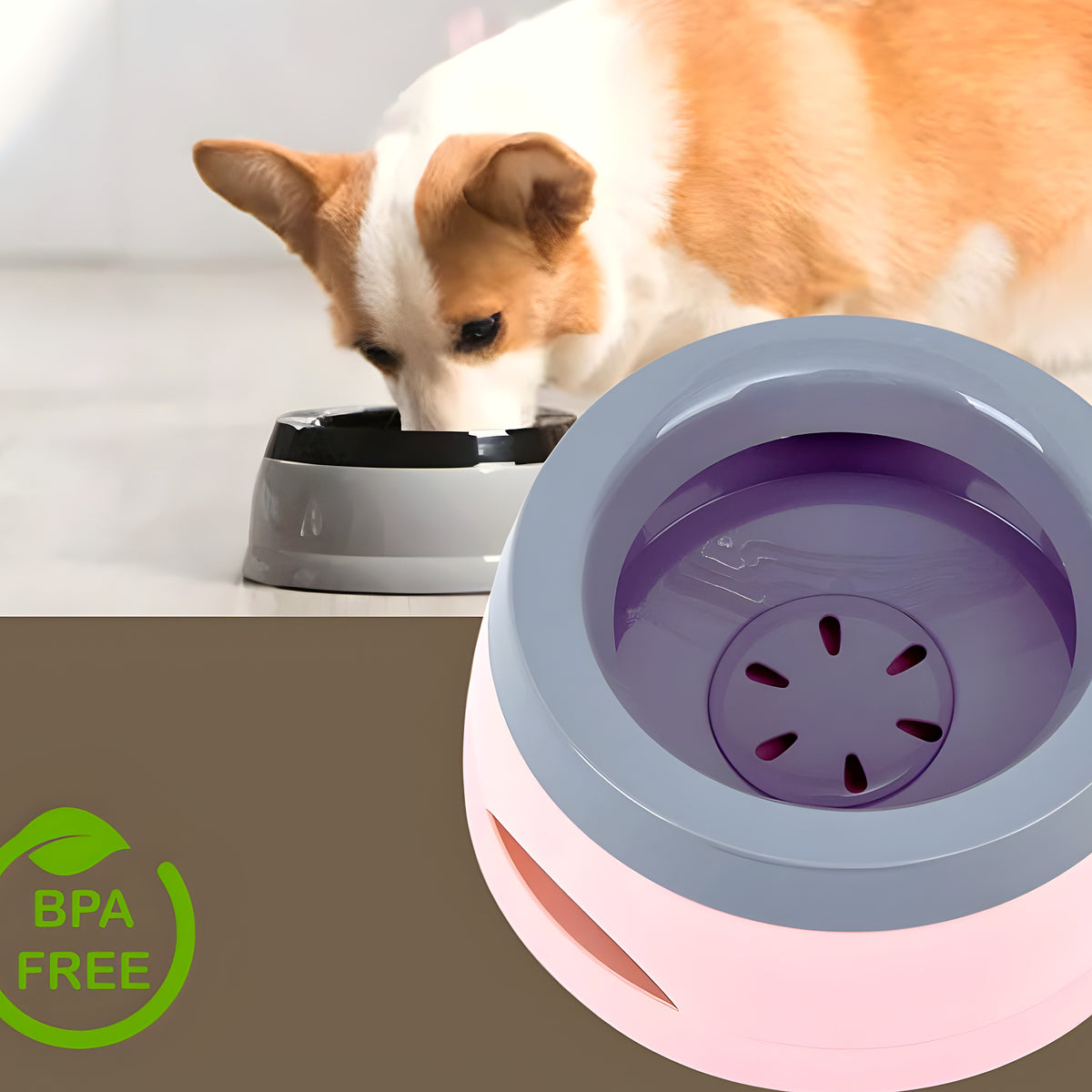 Gamelle d'eau anti-renversement 750 ml pour chien