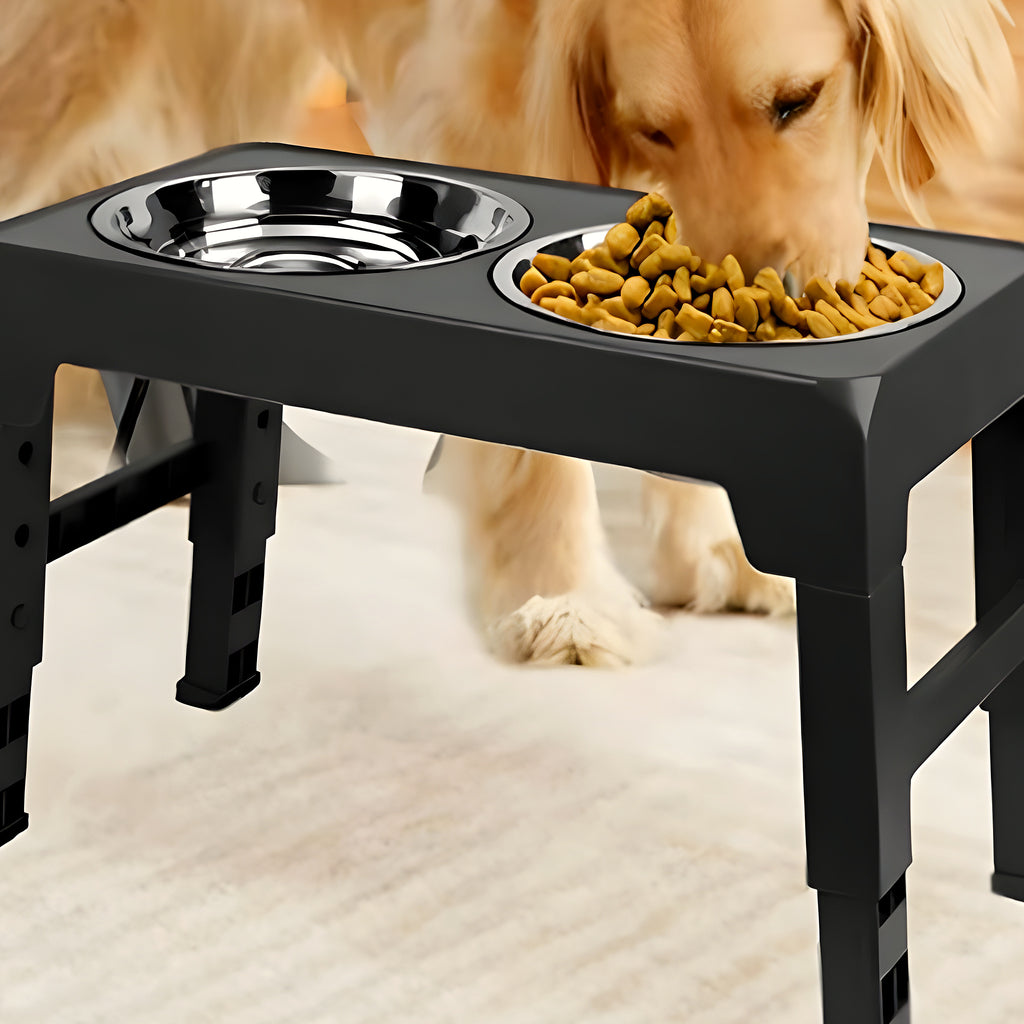 Gamelle surélevée pliable réglable avec 2 bols inox