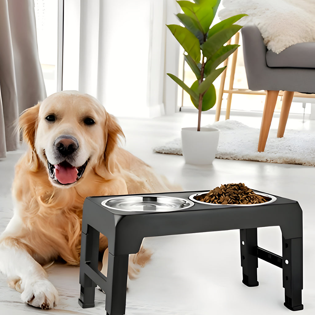 Gamelle surélevée pliable réglable avec 2 bols inox