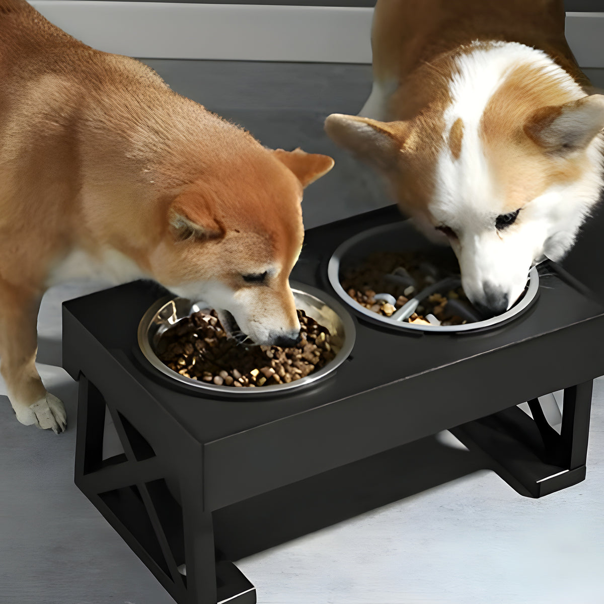 Gamelle surélevée réglable pour chien, 3 formules
