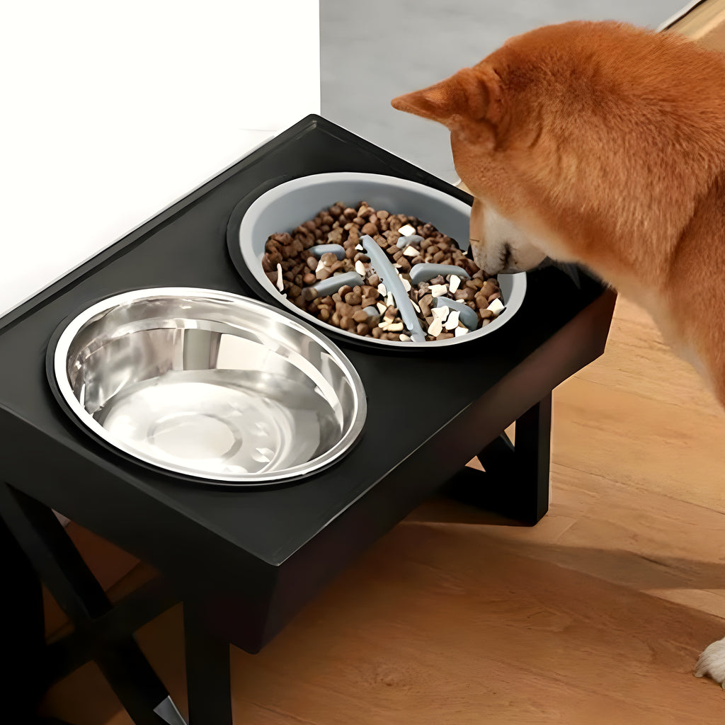 Gamelle surélevée réglable pour chien, 3 formules