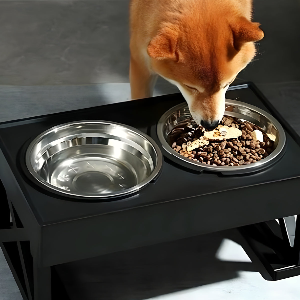 Gamelle surélevée réglable pour chien, 3 formules