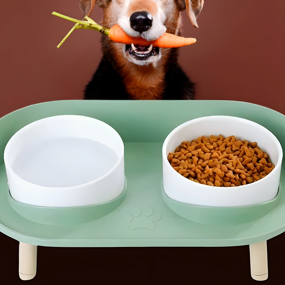 Gamelles surélevées en bambou pour chien, 3 coloris