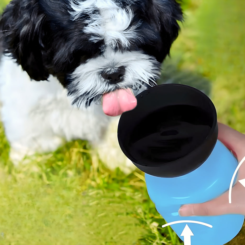 Gourde de voyage 500 ml sans BPA pour chien