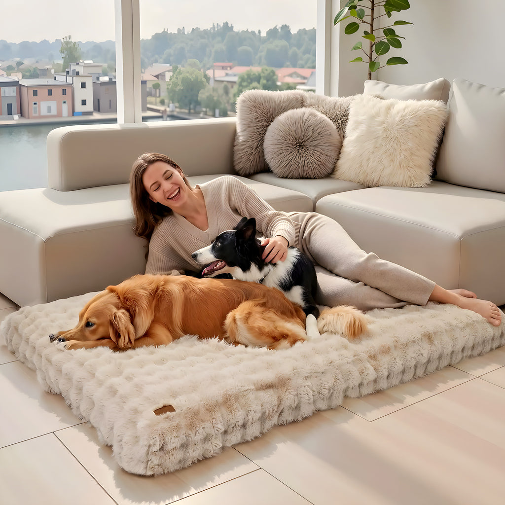 Grand coussin déhoussable pour grand chien, jusqu'à 4XL