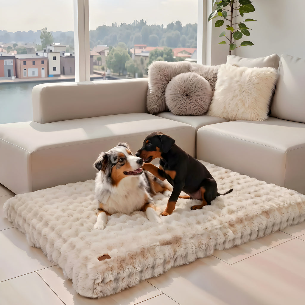 Grand coussin déhoussable pour grand chien, jusqu'à 4XL