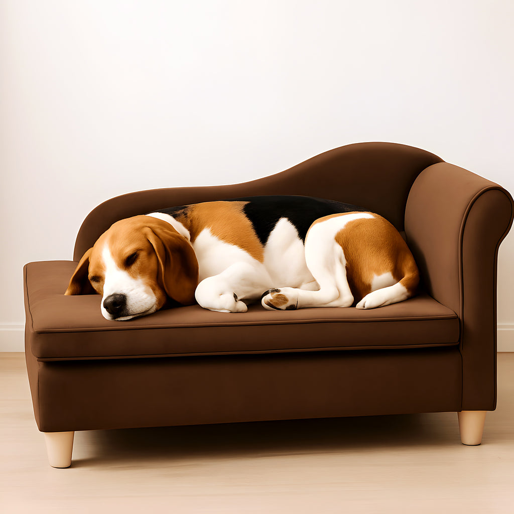 Grand fauteuil en velours chocolat pour chien moyen