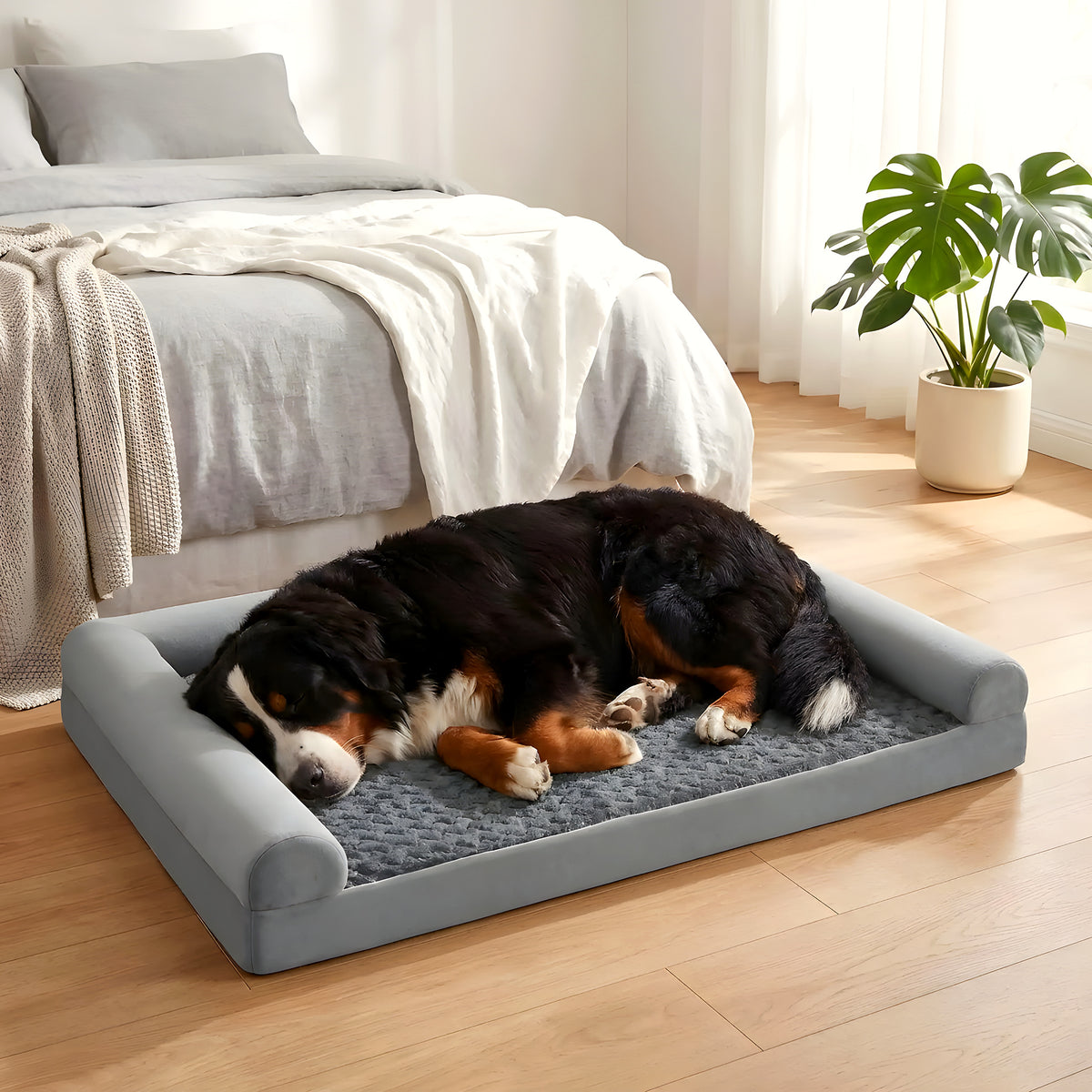 Grand lit orthopédique XXL en velours pour chien jusqu'à 68 kg