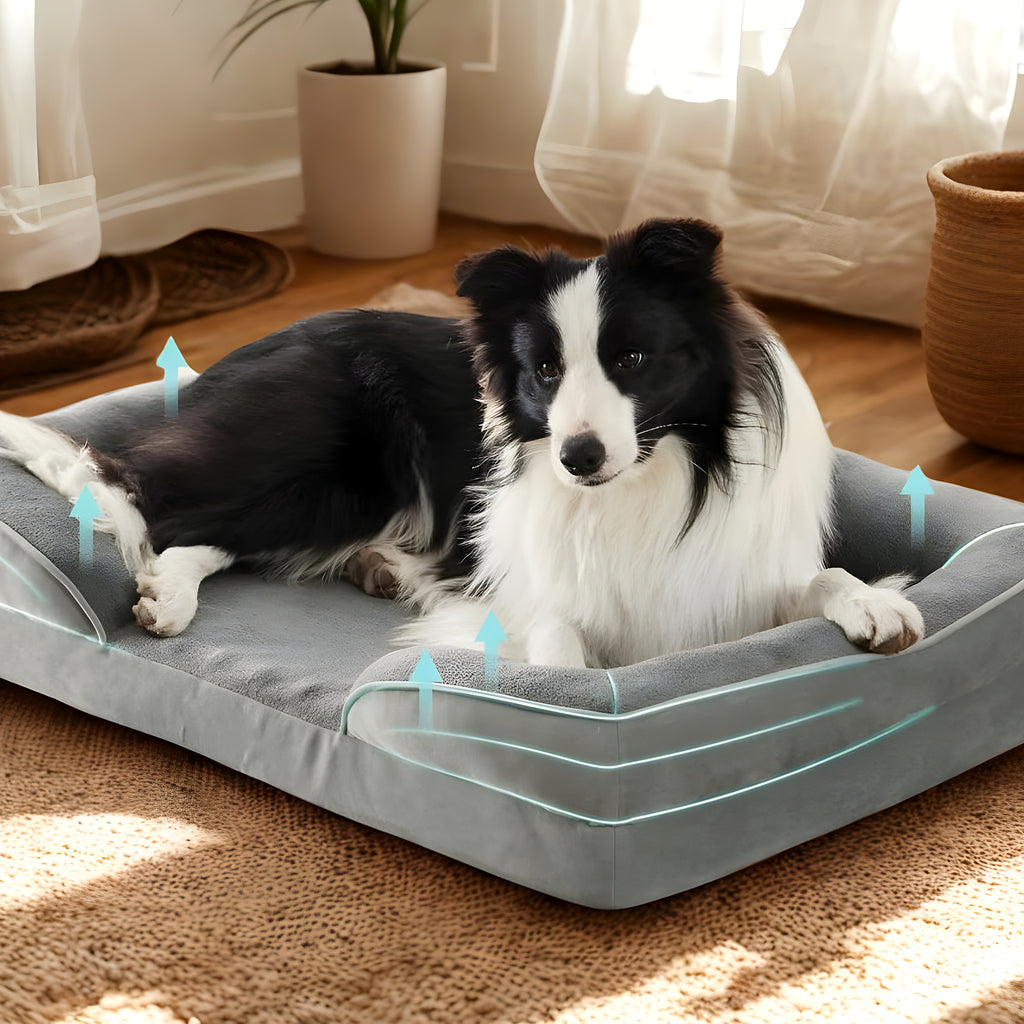 Grand panier orthopédique certifié OEKO-TEX pour chien