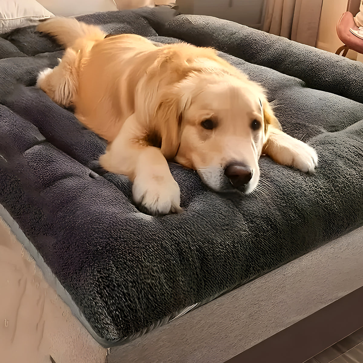 Grand tapis matelas gris 120 x 60 cm pour chien