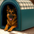 Grande niche XXL 2-en-1 écossaise ou marron pour chien