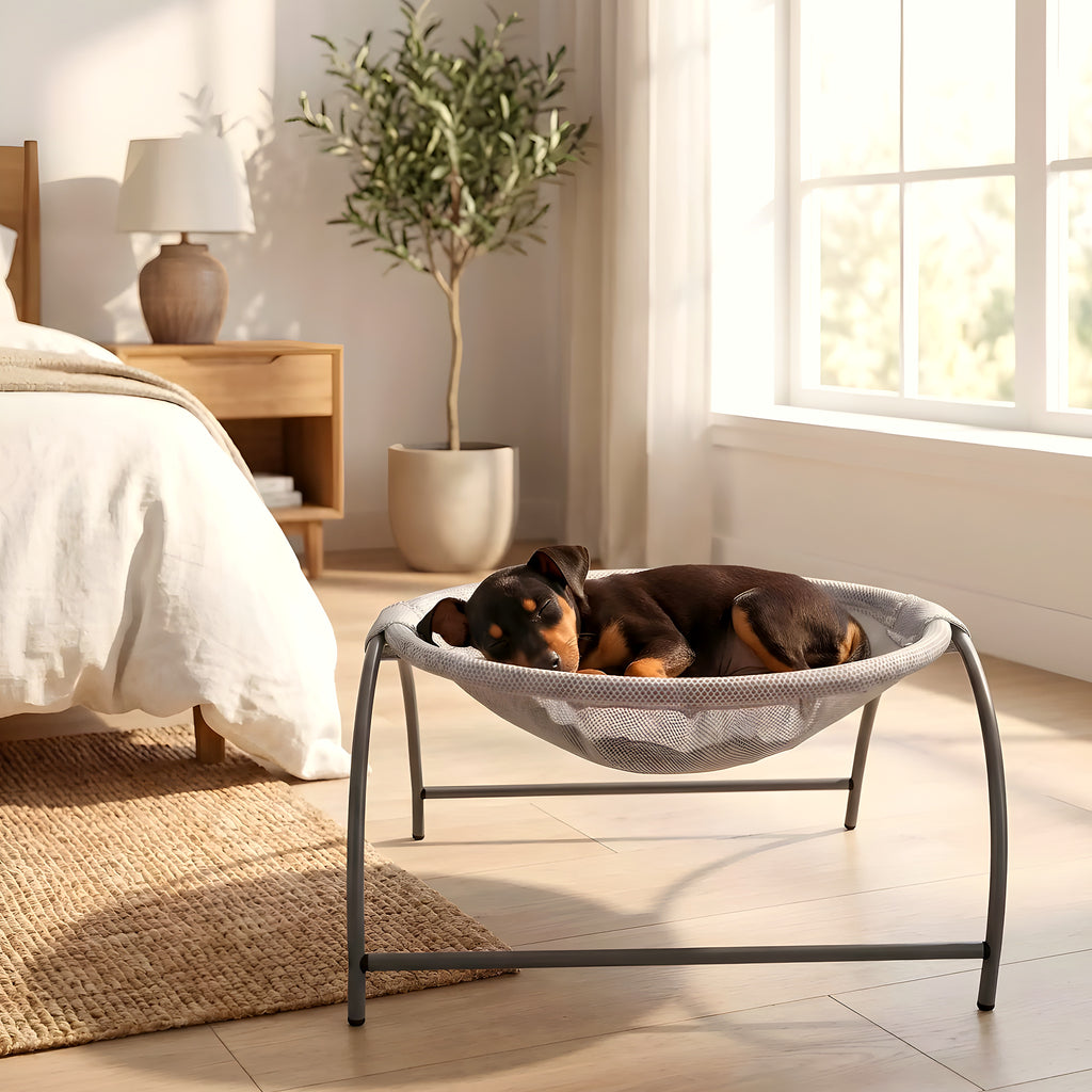 Hamac surélevé en tissu corail pour mini chien