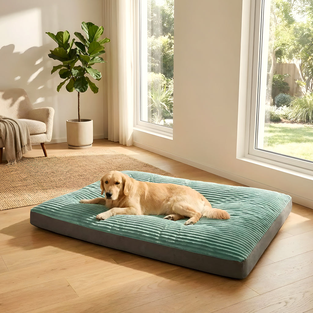 Housse de rechange en velours vert et gris pour lit de chien