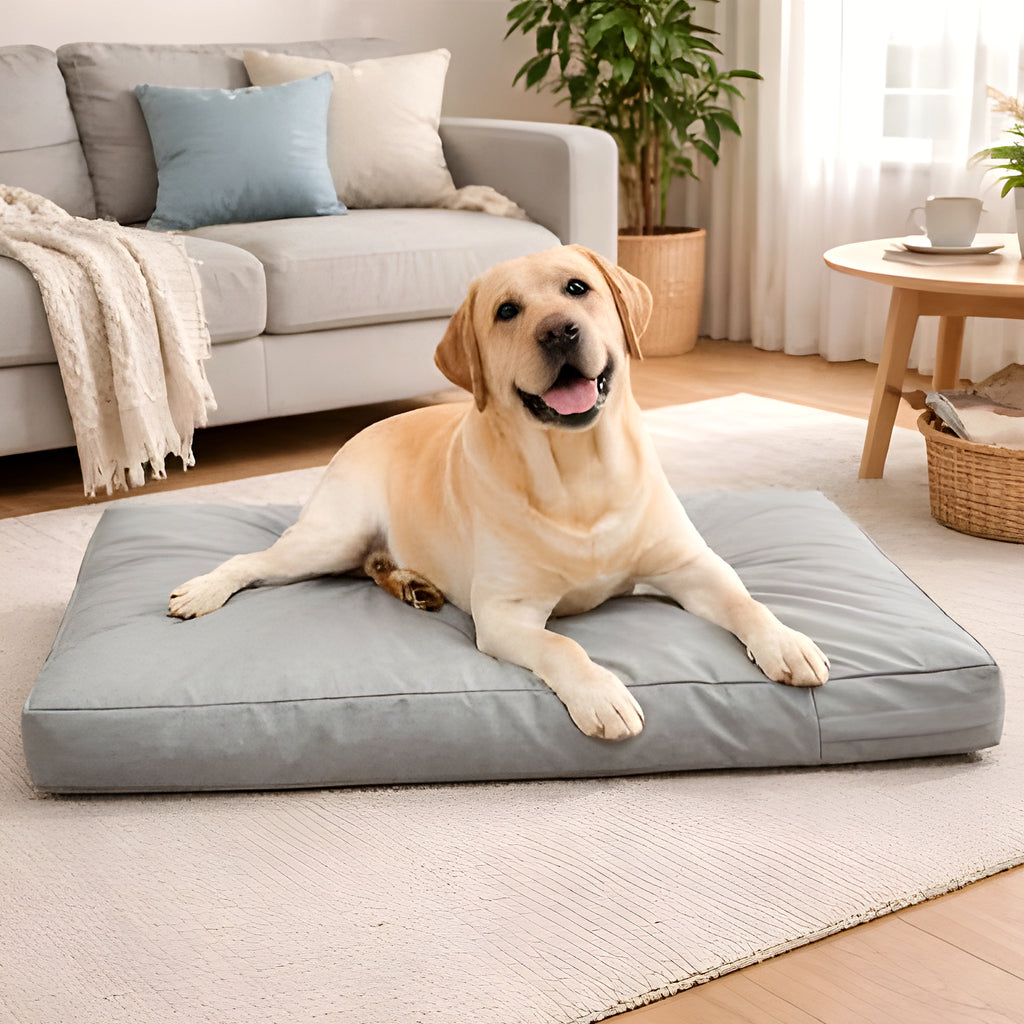 Housse double couche imperméable pour lit de chien