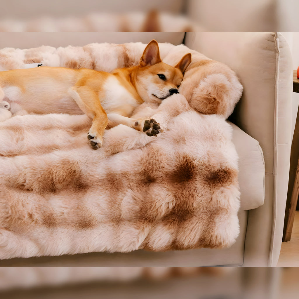 Housse lit pour canapé avec traversin en U pour chien