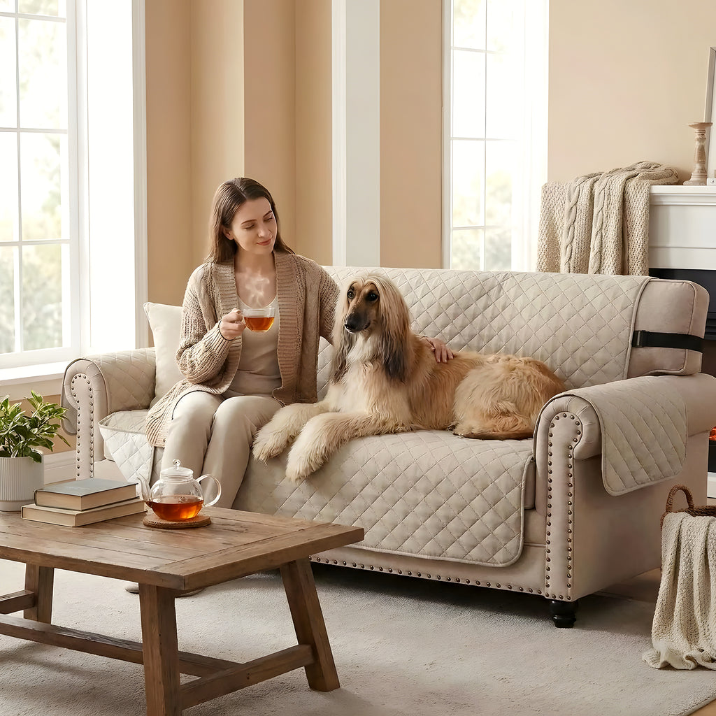 Housse protège-canapé imperméable noire, beige ou grise
