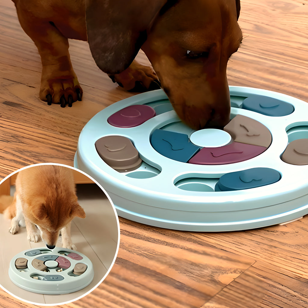 Jeu de réflexion pour chien, 3 couleurs