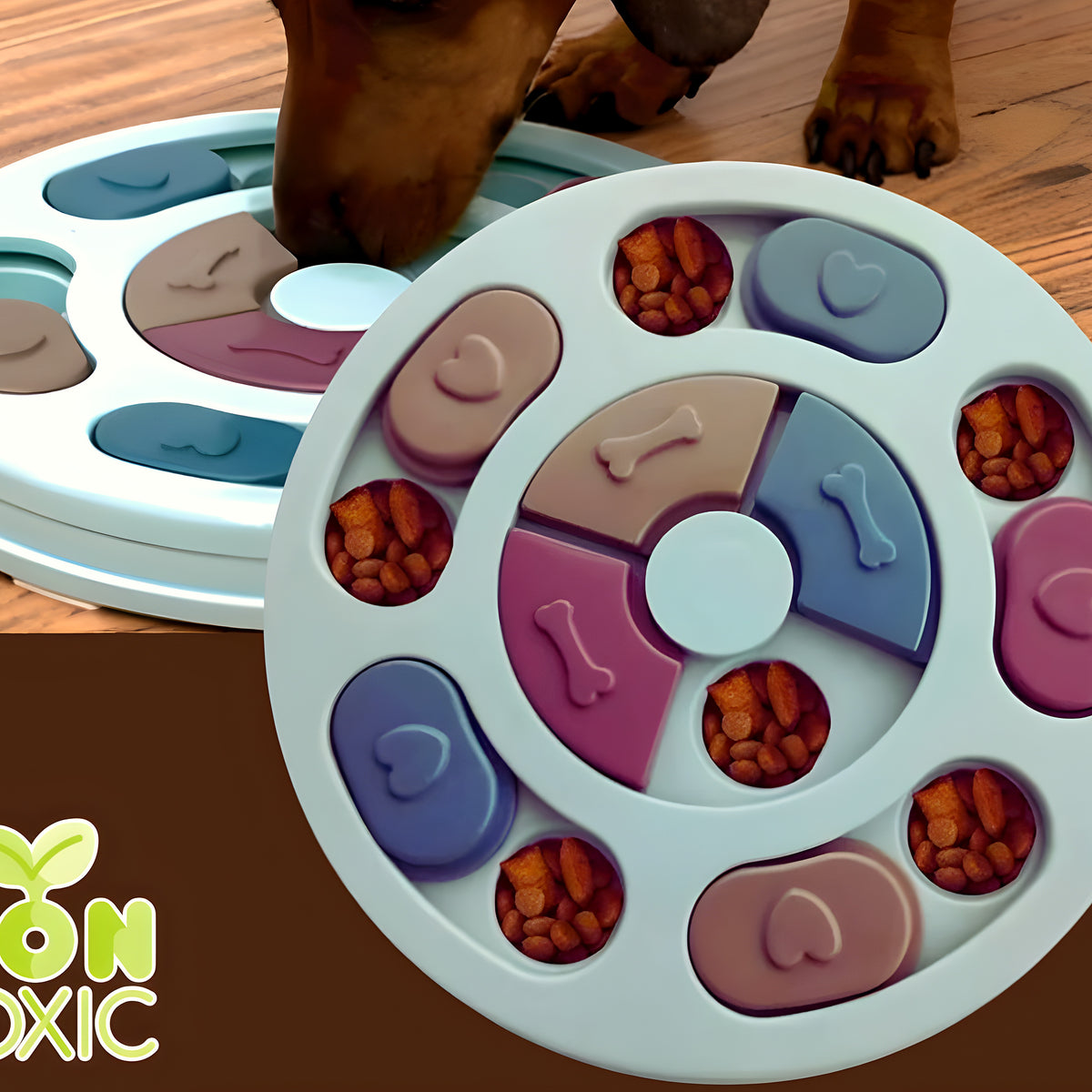 Jeu de réflexion pour chien, 3 couleurs