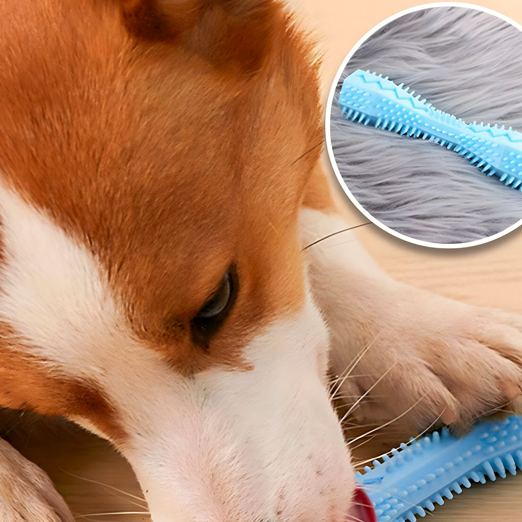 Jouet à mâcher dentaire en TPR pour chien