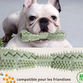Jouet à mâcher dentaire en TPR pour chien