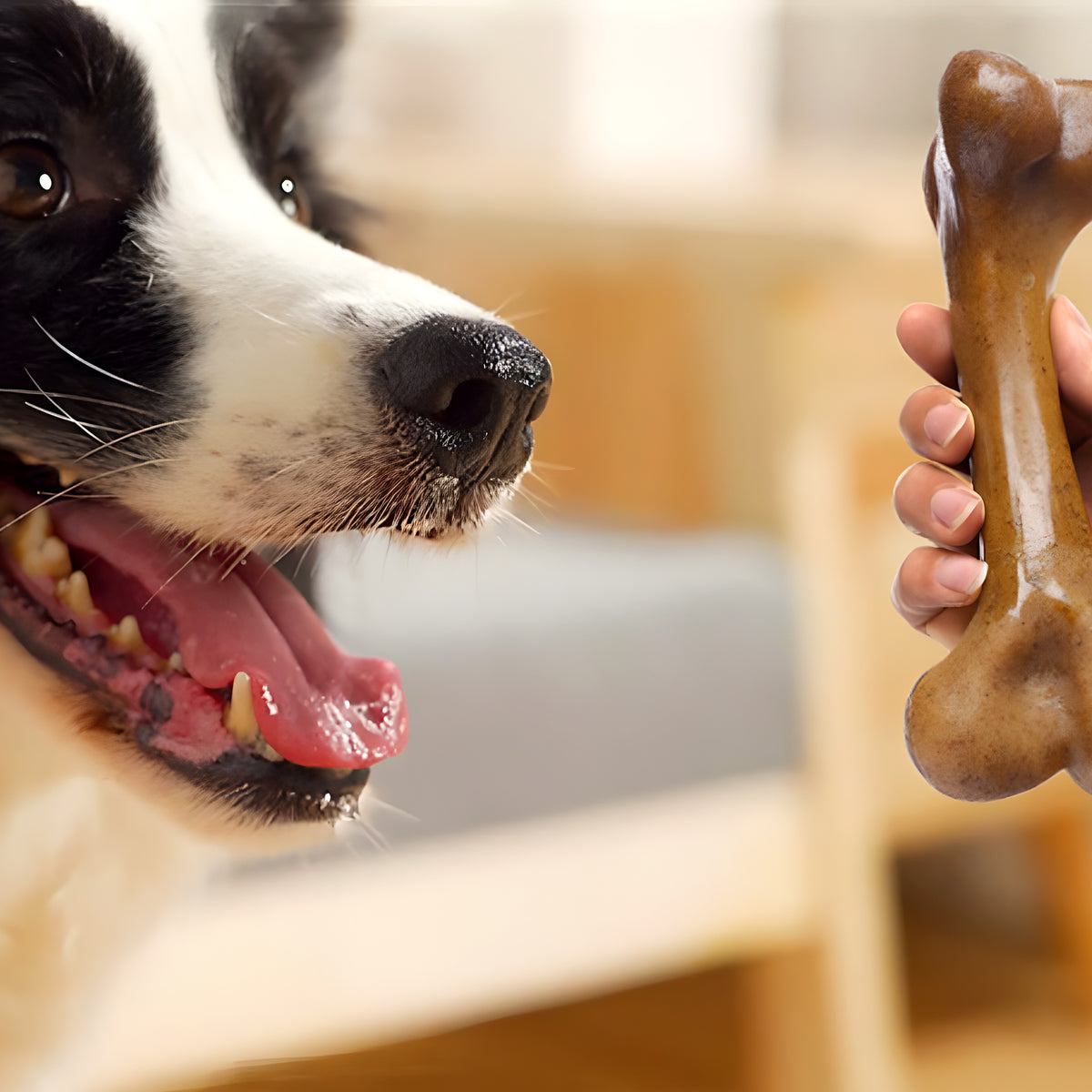 Jouet à mâcher en bois et PP pour chien destructeur, S à L