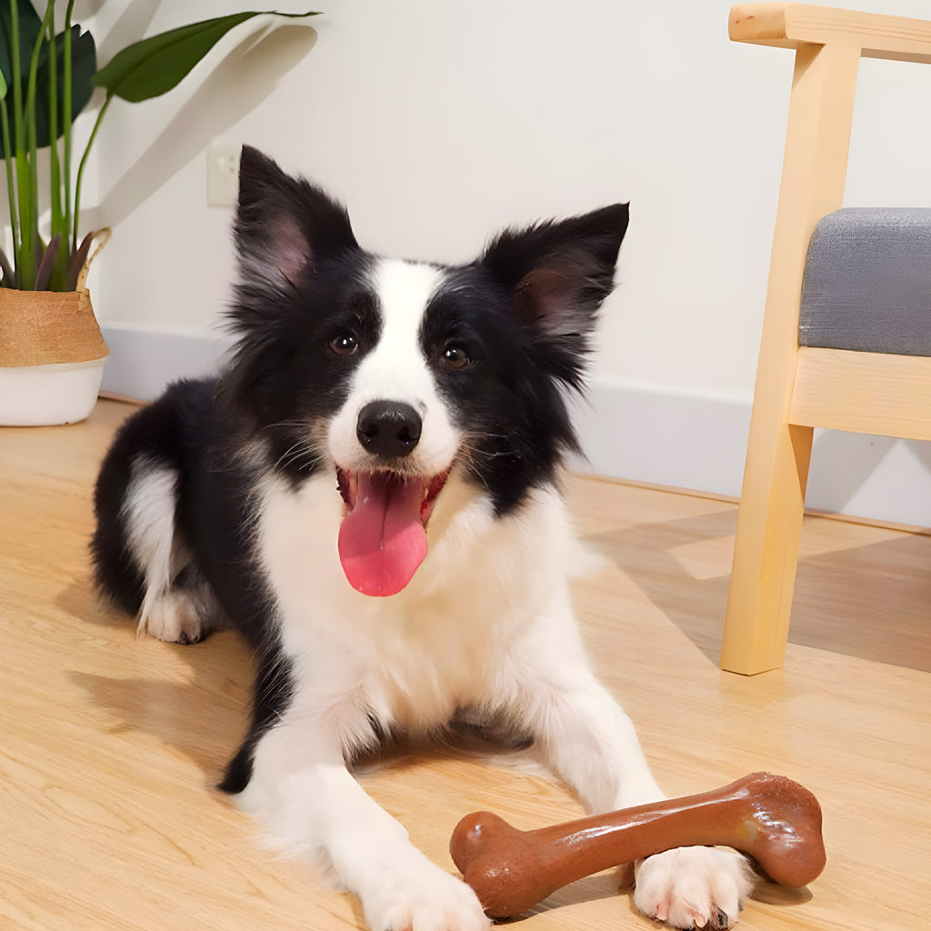 Jouet à mâcher en bois et PP pour chien destructeur, S à L