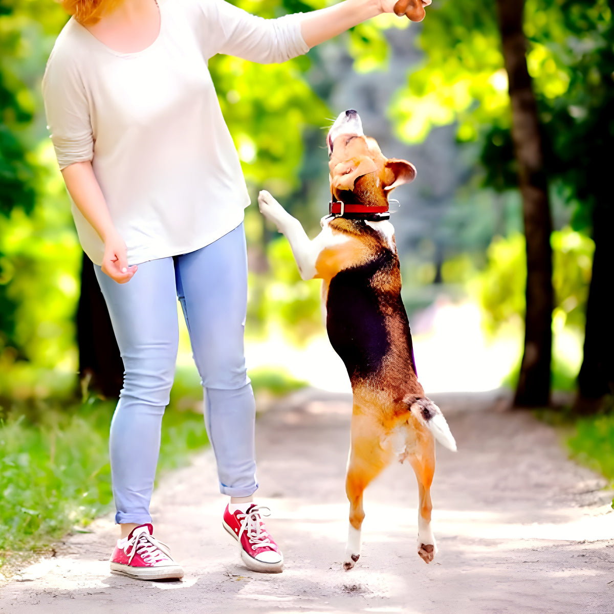Jouet à mâcher en bois et PP pour chien destructeur, S à L