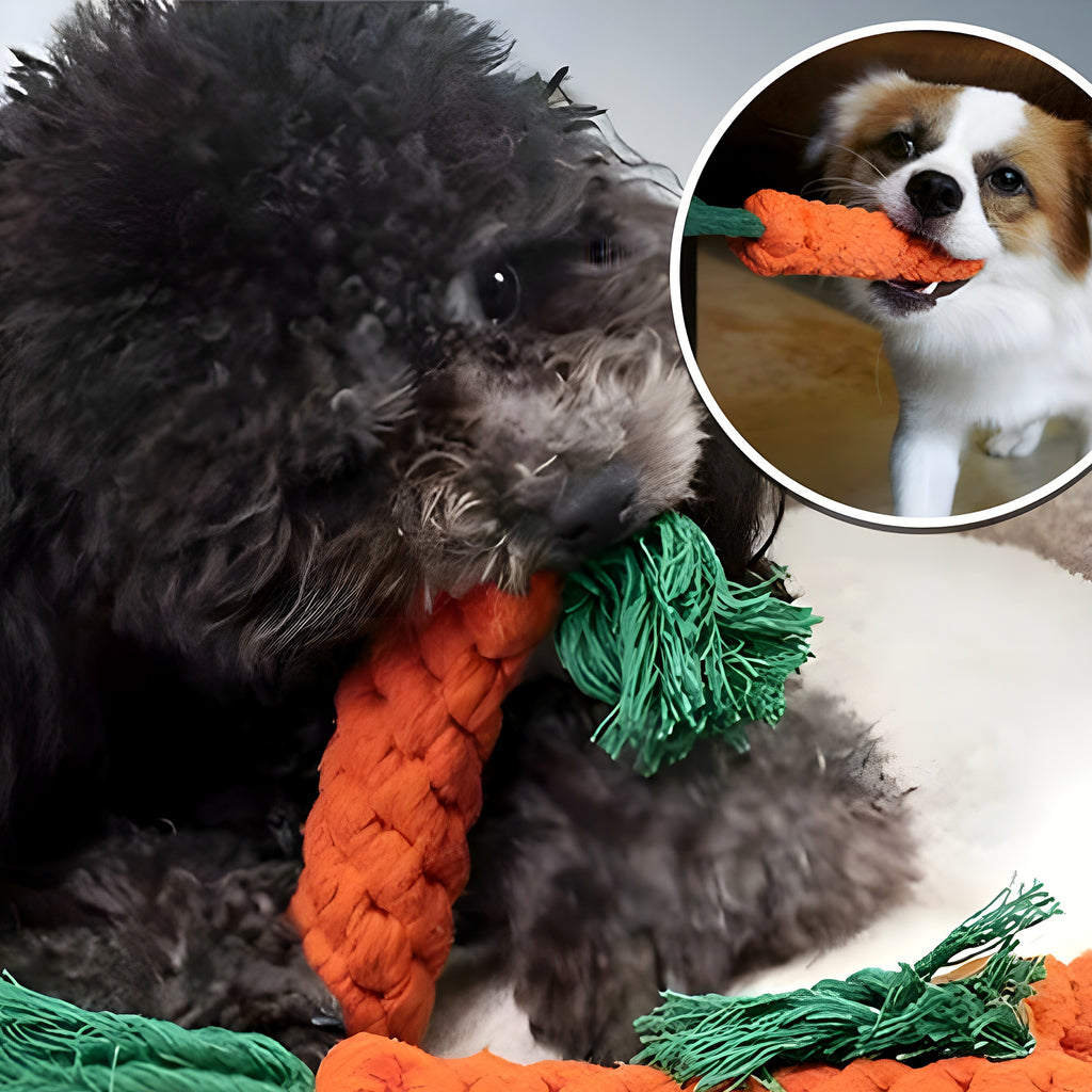 Jouet carotte à tirer en coton pour chien