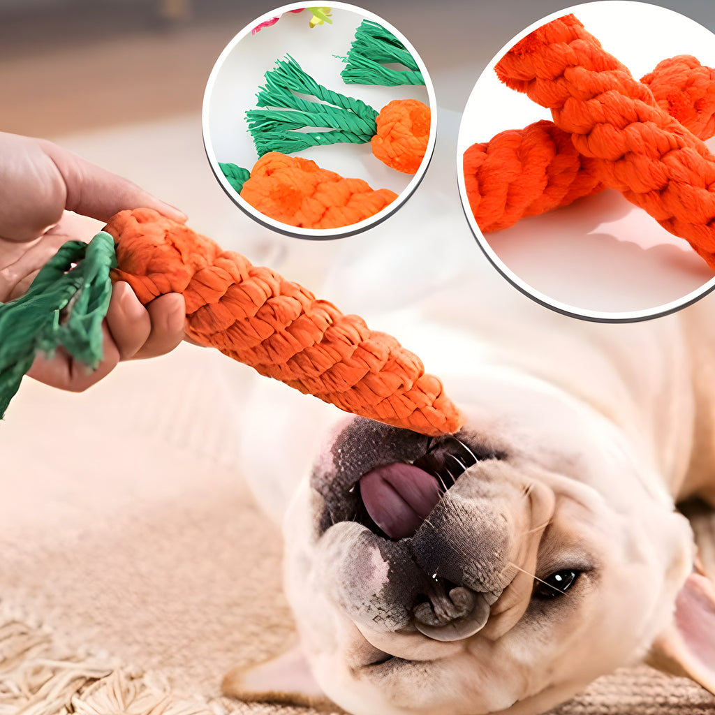 Jouet carotte à tirer en coton pour chien