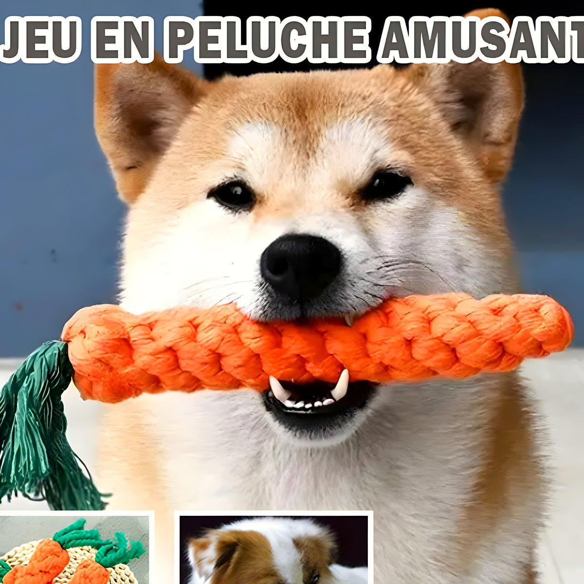 Jouet carotte à tirer en coton pour chien