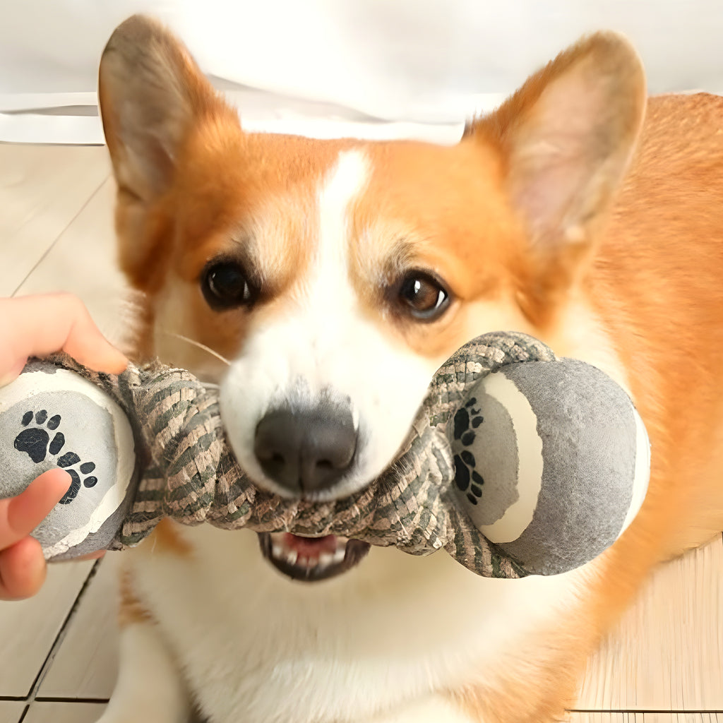 Jouet corde à 2 balles pour chien moyen et grand