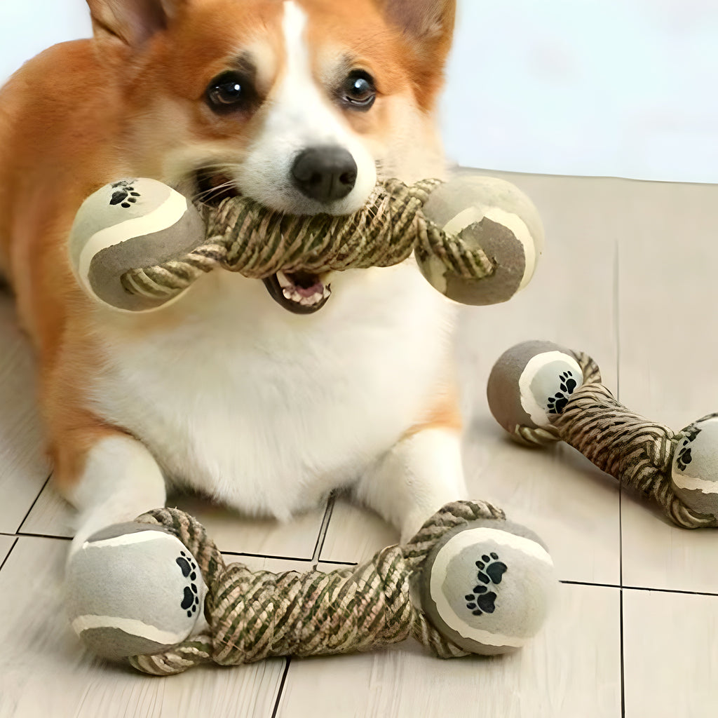 Jouet corde à 2 balles pour chien moyen et grand