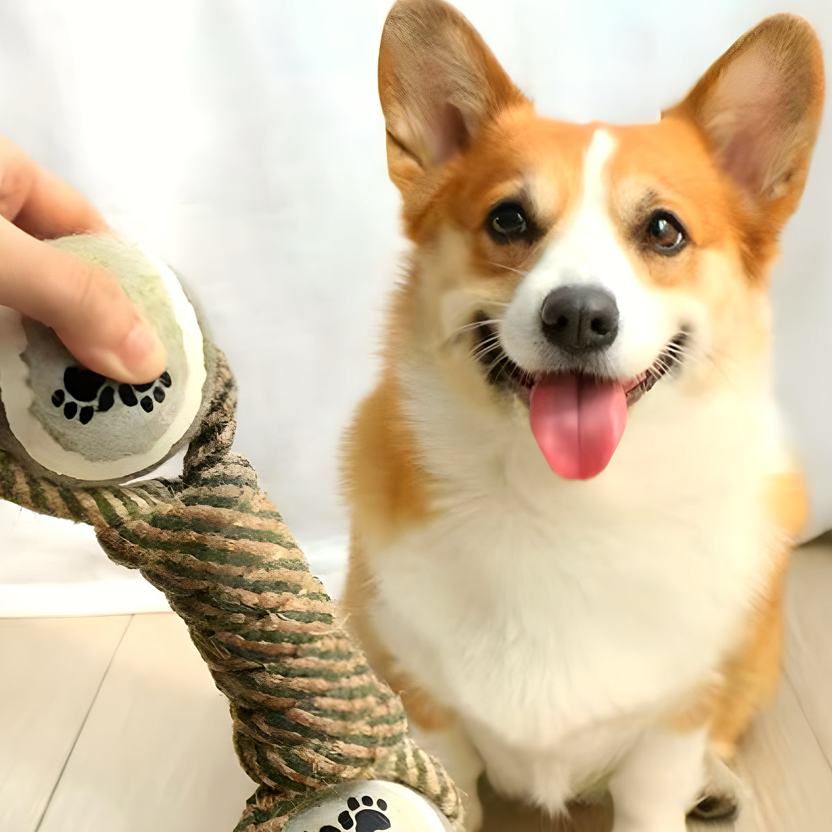 Jouet corde à 2 balles pour chien moyen et grand
