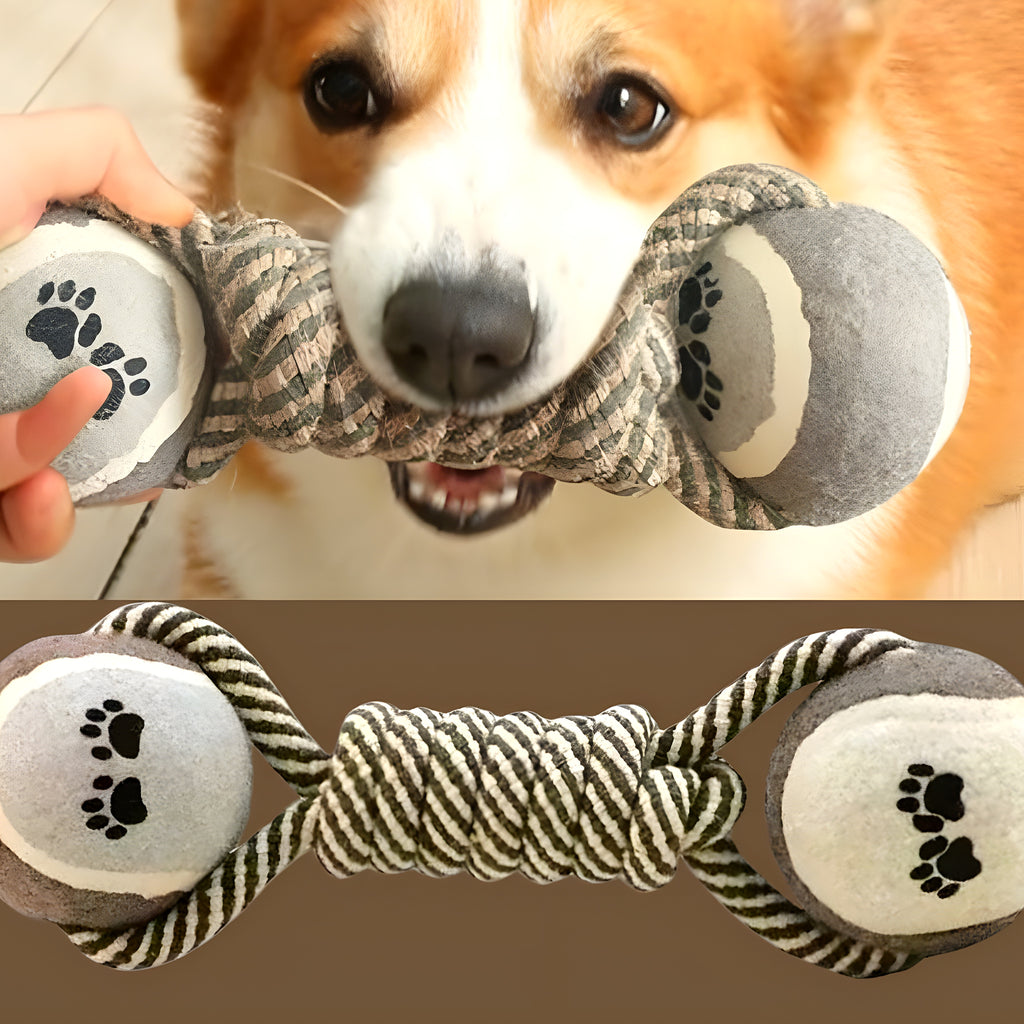 Jouet corde à 2 balles pour chien moyen et grand