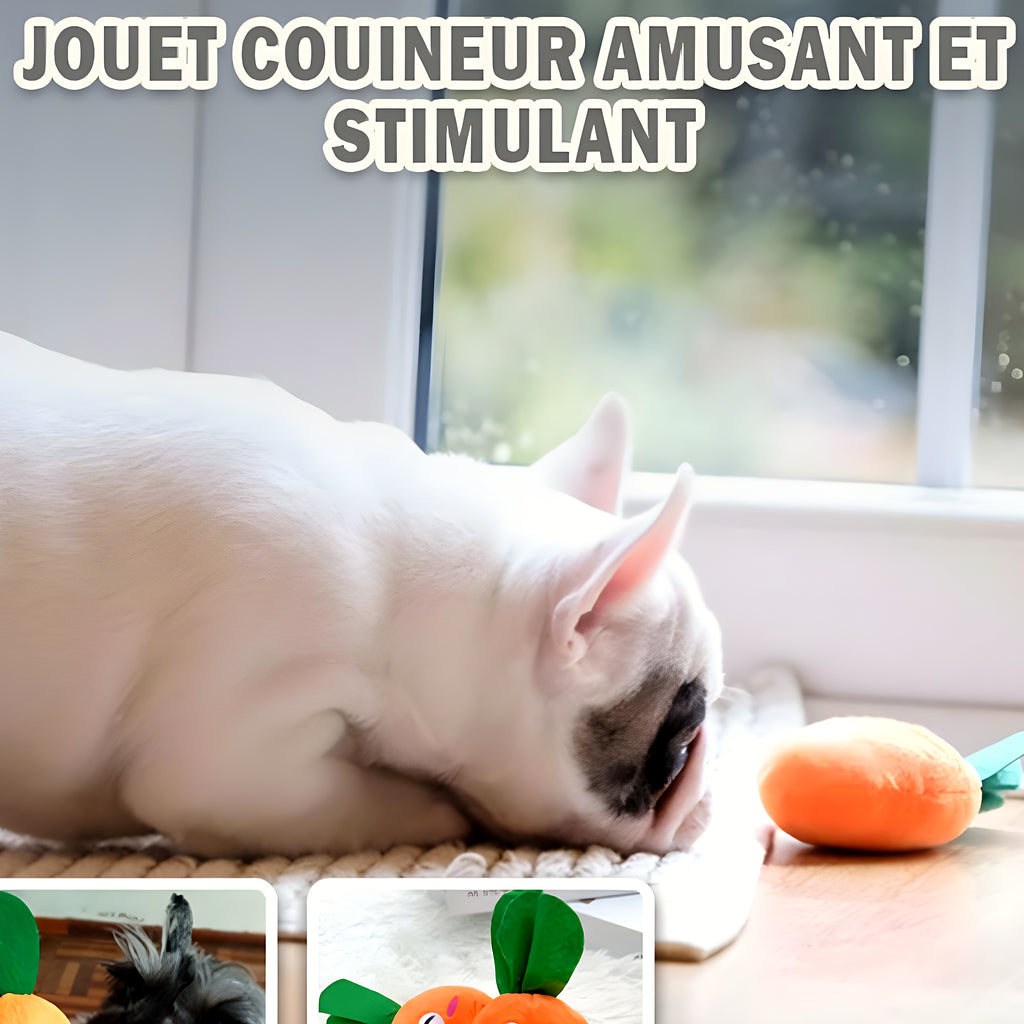 Jouet couineur carotte ou cuisse pour chiot