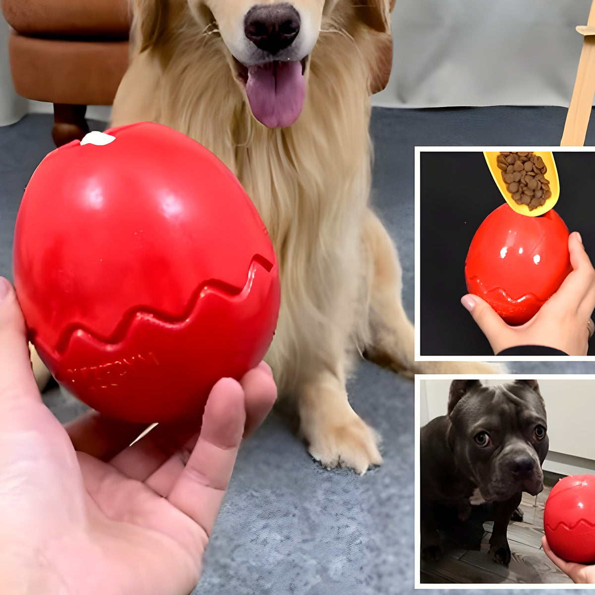 Jouet d'occupation à garnir pour chien, 5 coloris
