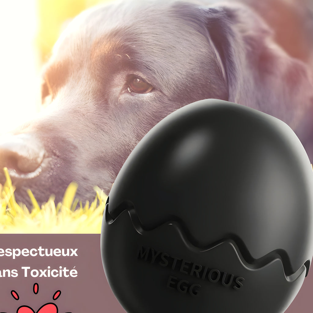 Jouet d'occupation à garnir pour chien, 5 coloris