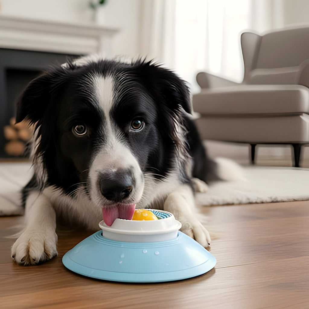 Jouet d'occupation à lécher pour chien