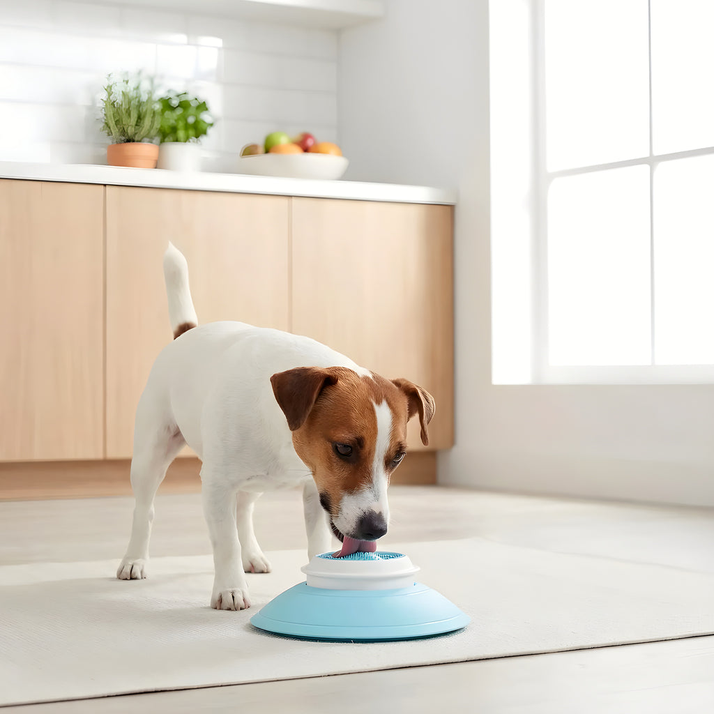 Jouet d'occupation à lécher pour chien