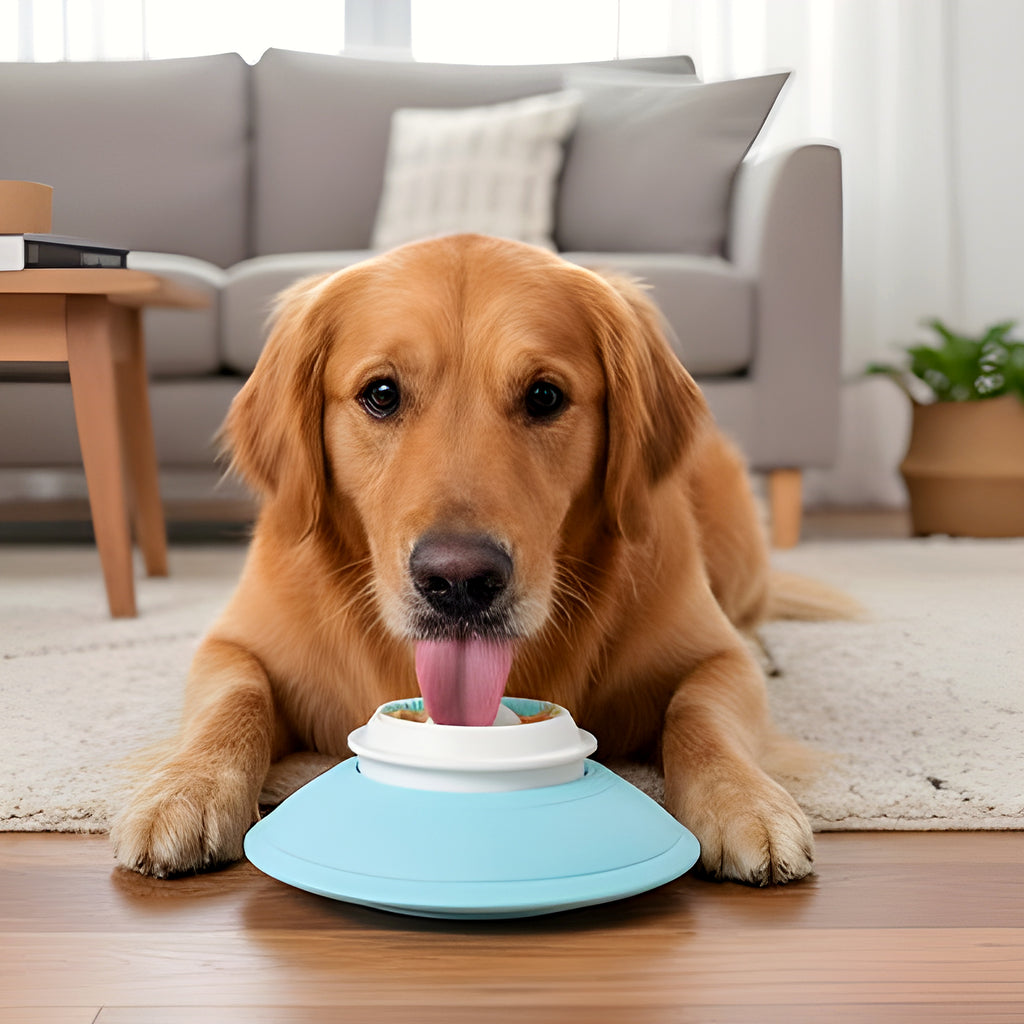 Jouet d'occupation à lécher pour chien