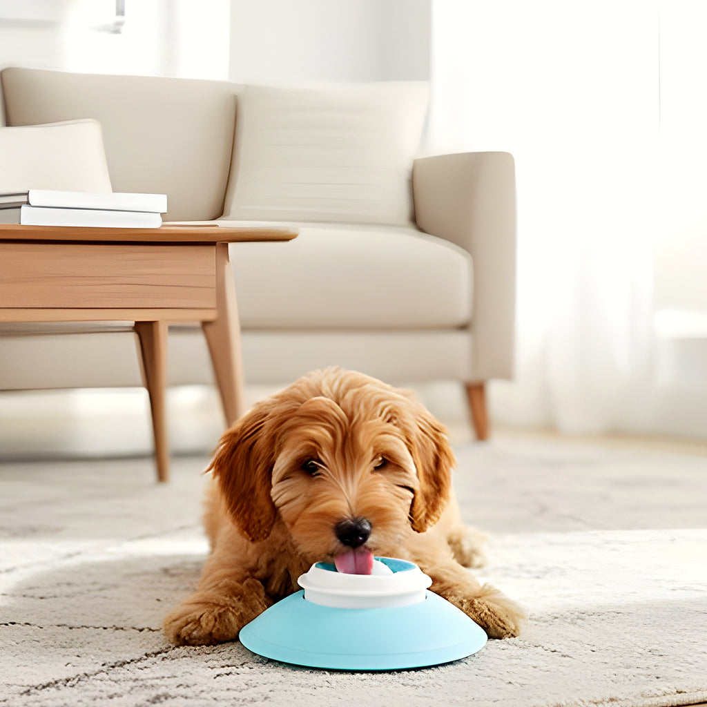 Jouet d'occupation à lécher pour chien
