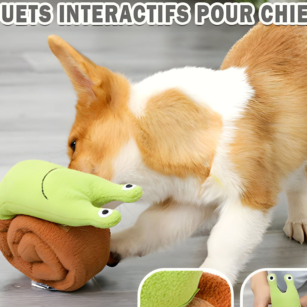 Jouet d'occupation escargot à friandises pour chien