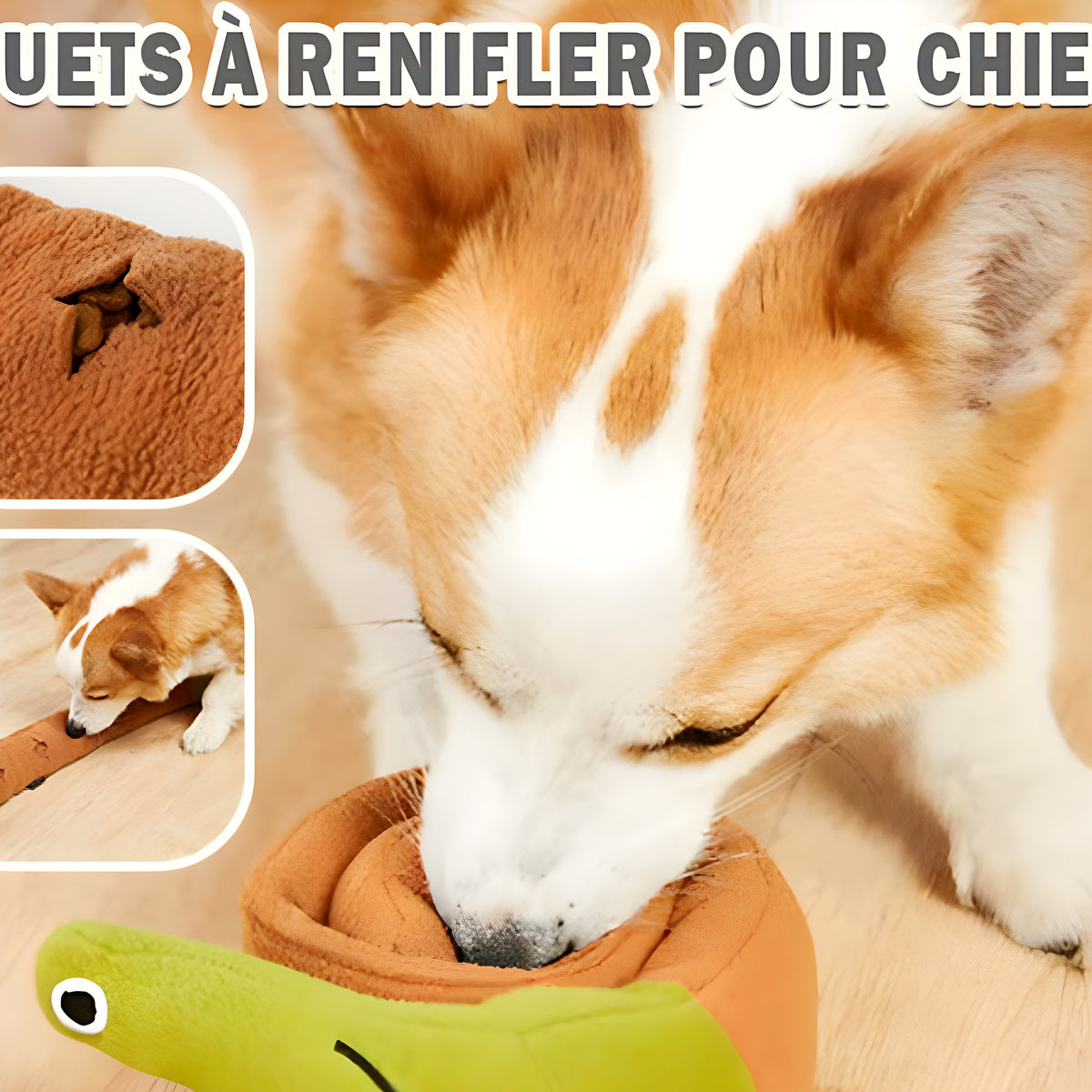 Jouet d'occupation escargot à friandises pour chien