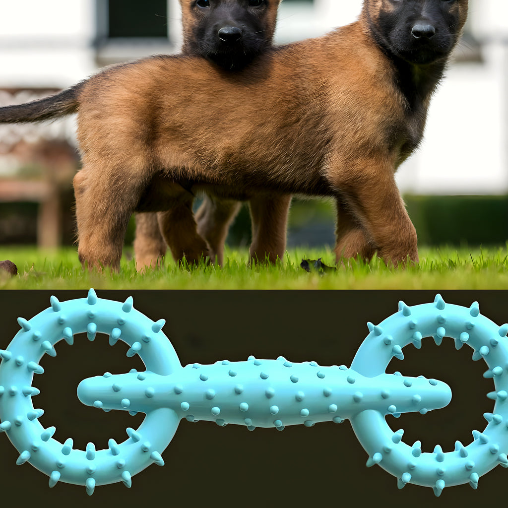 Jouet de dentition double anneau en TPR pour chiot