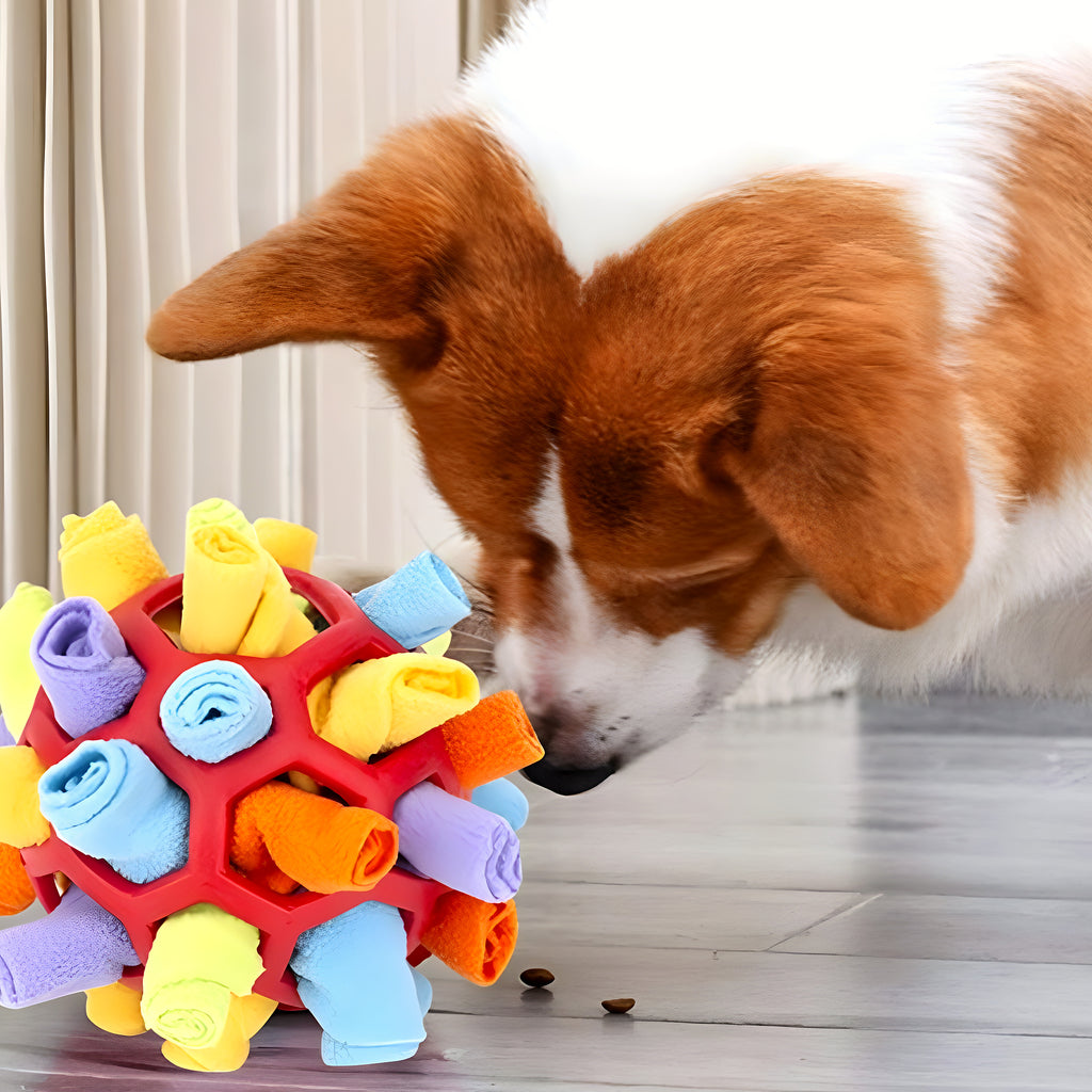 Jouet de fouille à friandises pour chien, 4 couleurs