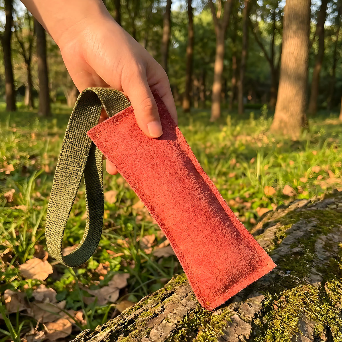 Jouet de tir à la corde à 2 sangles pour chien