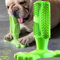 Jouet dentaire en caoutchouc naturel pour chien, M ou L