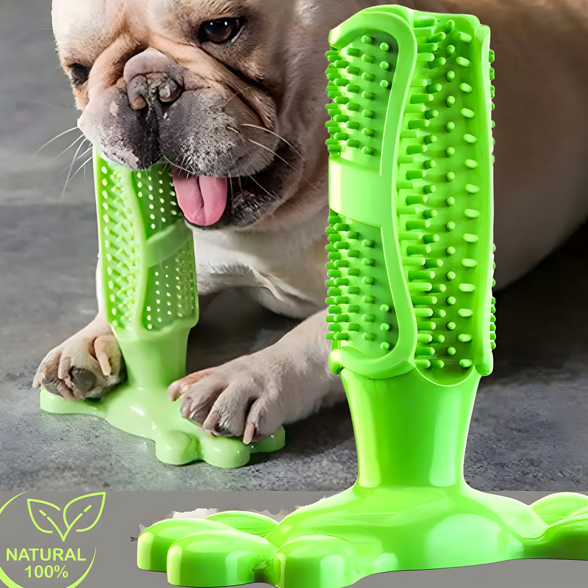 Jouet dentaire en caoutchouc naturel pour chien, M ou L