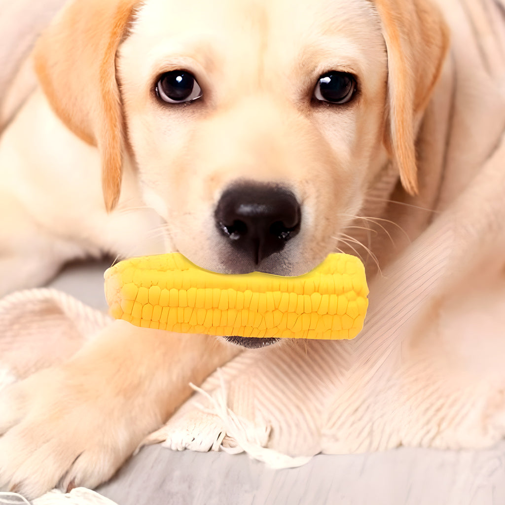 Jouet épi de maïs qui couine pour chiot